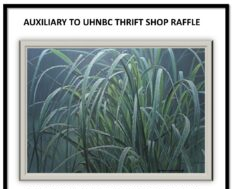 Robert Bateman Print Raffle at the Thrift Shop